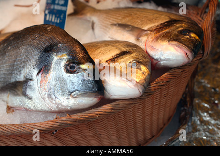 Frischer Fisch zum Verkauf an einen Stand auf dem Sonntagsmarkt am Boulevard Richard Lenoir in Bastille, Paris Stockfoto