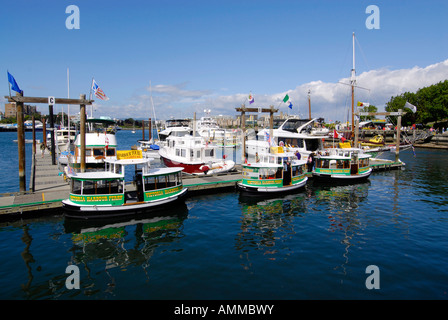 Victoria Inner Harbour Hafen Fähre Fähren Victoria British Columbia BC Kanada Exkursion Konzession Reisen Urlaub Tour Tour Stockfoto
