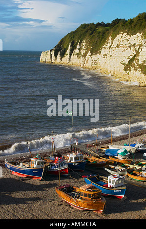 Bier und Bier Kopf, Devon, England, UK Stockfoto