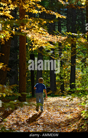 Kleiner Junge zu Fuß hinauf Pfad während Herbstfarben im Mitchell State Park in Cadillac, Michigan Stockfoto