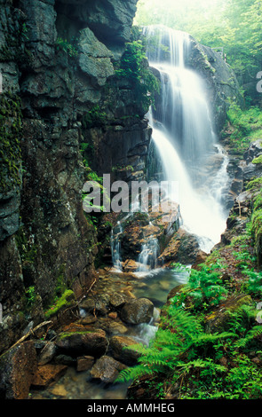 Lawine fällt an der Spitze der Flume gorge in Franconia Notch State Park New Hampshire s White Mountains Stockfoto