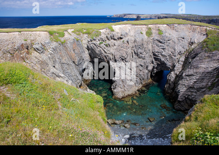 Bögen und Meer Höhlen in Dungeon Provincial Park, Cape Bonavista, Neufundland-Labrador, Kanada. Stockfoto