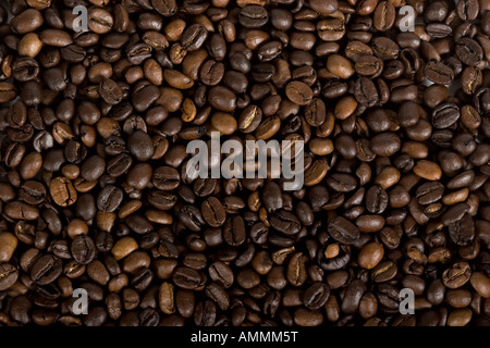 Ein Kaffee-Bohnen-Muster-Hintergrund Stockfoto