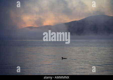 Morgendämmerung über Lily Bucht im Moosehead Lake aus Zucker Insel Maine USA Stockfoto