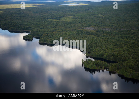 Ostufer des indischen Teich Kennebec River in der Nähe von Greenville Maine A Portion dieser Küste ist als Wohnsiedlung geplant. Stockfoto