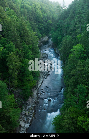 Quechee Gorge Quechee Vermont Ottauquechee River Stockfoto