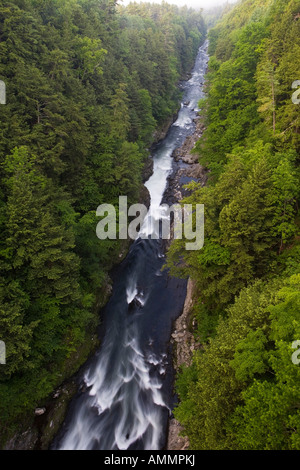 Quechee Gorge Quechee Vermont Ottauquechee River Stockfoto