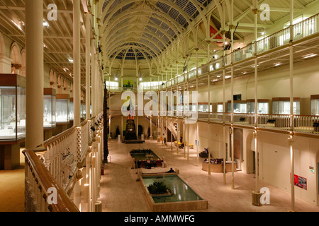 Das Royal Museum of Scotland Chambers Street-Edinburgh Stockfoto