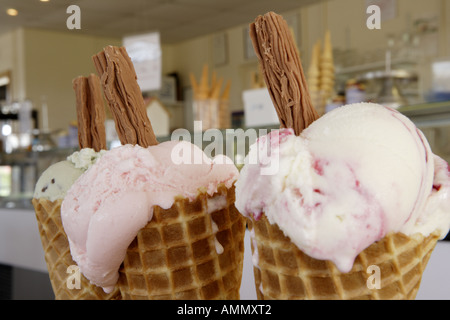 Sommer Stockfoto