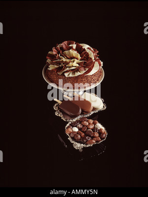 reiche Schokoladendesserts Kuchen Eis Süßigkeiten frische handgemachte Bäckerei Party Urlaubsspaß Kuchen stehen Sockel Anzeige benutzerdefinierter Bäckerei Stockfoto