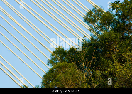 Kabel von Ting Kau Kabel blieb Brücke Hong Kong SAR Stockfoto