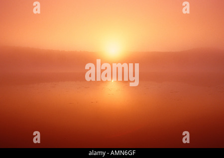 Kingston Creek, New Brunswick, Kanada Stockfoto