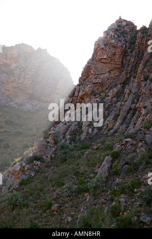 Dramatische geologischen Falte Felsformationen in der Seweweekspoort, wo ein Strom die Cape Falte Berge durchschneidet Stockfoto