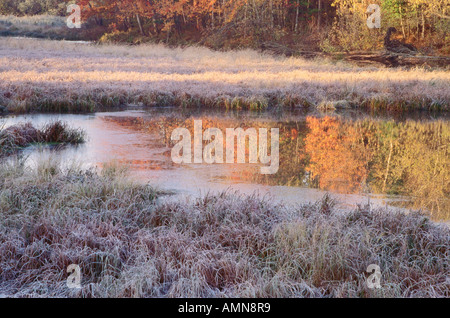 Marsh, Hampton, New Brunswick, Kanada Stockfoto