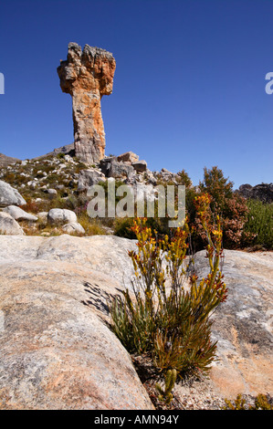 Die Malteser Kreuz Sandstein Felsformation in den Cedarberg Bergen Stockfoto