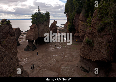 Blumentopf-Felsen, Hopewell Rocks, Shepody Bay, Chignecto Bay, Bay Of Fundy, Albert, Fundy Coastal Drive, New Brunswick, Kanada. Stockfoto