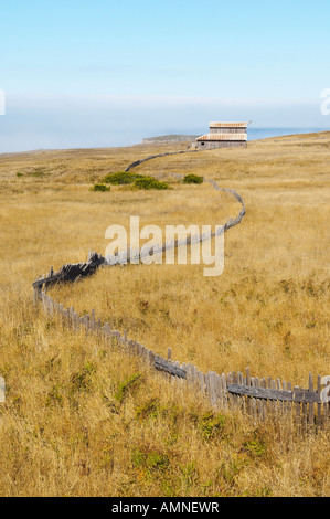 Alte Scheune im Feld, Sonoma Coast, Kalifornien, USA Stockfoto