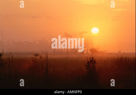 Florida Everglades, Big Cypress National Preserve, Florida, USA Stockfoto