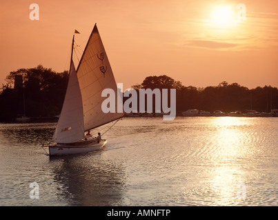 Sonnenuntergang auf den Norfolk Broads, Malthouse breit, Norfolk, england Stockfoto