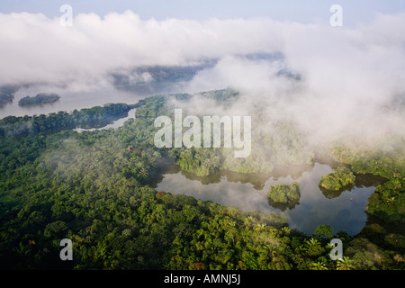 Regenwald entlang der Panama-Kanal-Panama Stockfoto