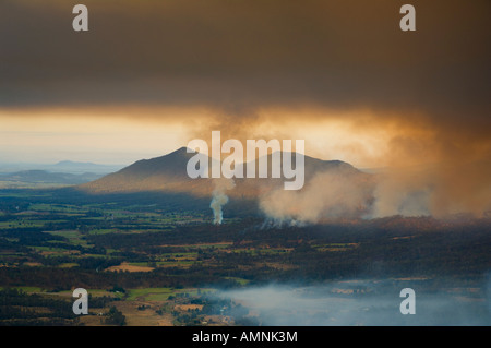 Bushfire, Finch Hatton, Pioneer Valley, Queensland, Australien Stockfoto