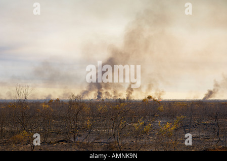 Bush-Feuer, Northern Territory, Australien Stockfoto