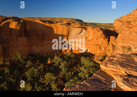 Kings Canyon, Watarrka National Park, Northern Territory, Australien Stockfoto