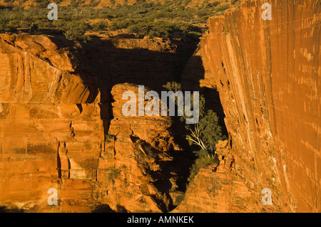 Kings Canyon, Watarrka National Park, Northern Territory, Australien Stockfoto