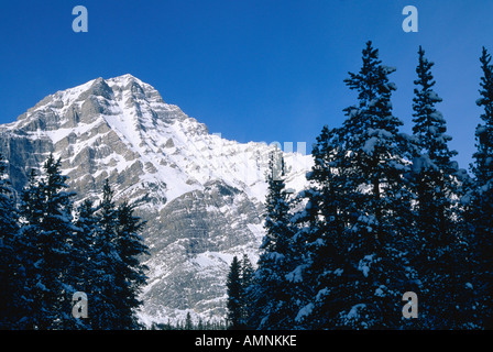 Mount Kidd, Kananaskis Country, Alberta, Kanada Stockfoto