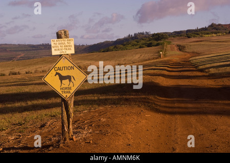 Reitweg, Lana ' i, Hawaii Stockfoto