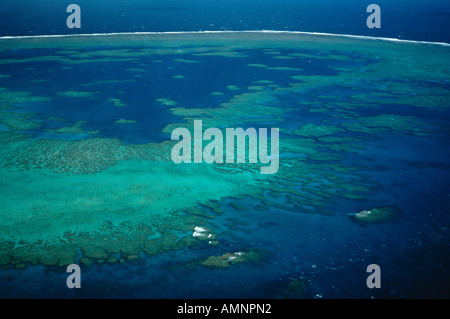 Great Barrier Reef, Queensland, Australien Stockfoto