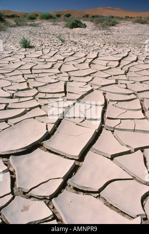 Trockenen Schlamm Muster in der Wüste, Sossusvlei, Namibia Stockfoto