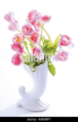 Tulpen in Vase (Tulipa Gesneriana) Stockfoto