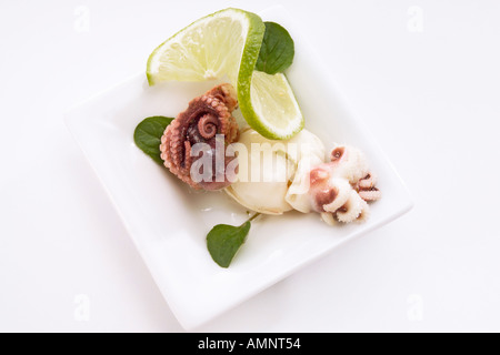 Frischer Tintenfisch auf Teller, erhöht, Ansicht Stockfoto
