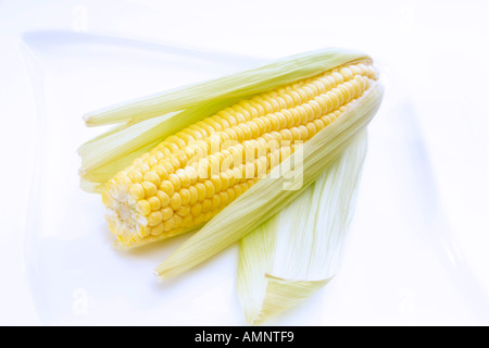 Maiskolben, close-up Stockfoto