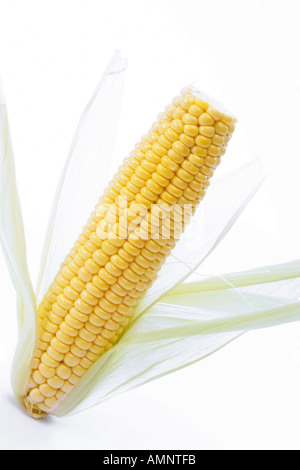 Maiskolben, close-up Stockfoto
