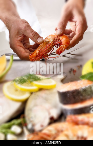 Frischer Fisch und Garnelen Stockfoto