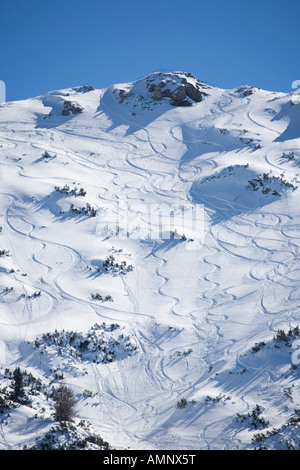 Off Piste Snow Trails hoch oben in den Bergen, Seefeld, Österreich Stockfoto