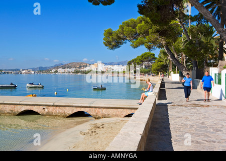 DIE KIEFER GEHWEG PUERTO POLLENSA AUF MALLORCA Stockfoto