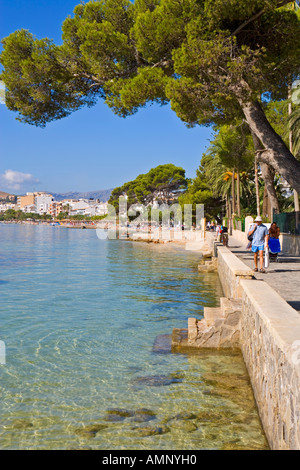 DIE KIEFER GEHWEG PUERTO POLLENSA AUF MALLORCA Stockfoto