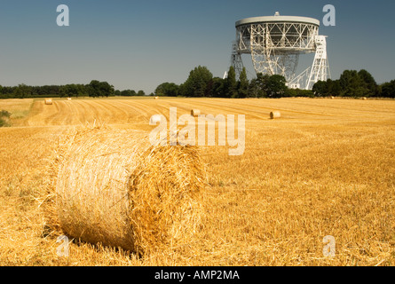 Der Riese Mk1A Jodrell Bank Radioteleskop und Runde geernteten Heuballen, in der Nähe von Holmes Chapel, Cheshire, England, UK Stockfoto