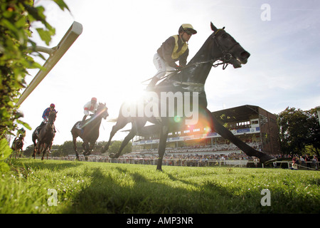 Ein Pferderennen, Hoppegarten, Deutschland Stockfoto