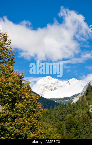 Berg Triglav, betrachtet aus dem Dorf Stara Fuzina, in der Nähe von See Bohinj, Slowenien. Stockfoto