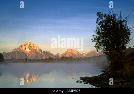 Sonnenaufgang und Baum am Oxbow Bend am Snake River im Grand Teton National Park Stockfoto