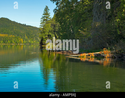 Den See umgeben von einem dichten Tannenwald Stockfoto