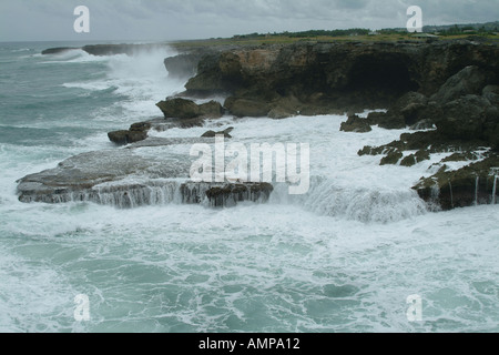 Felsen am North Point St Lucy Barbados Stockfoto