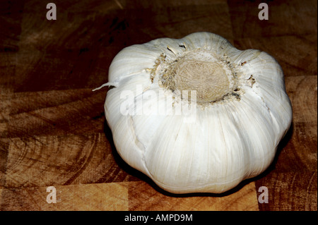 Ganze Knolle Knoblauch Stockfoto