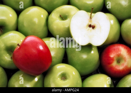 Frische Äpfel, close-up Stockfoto