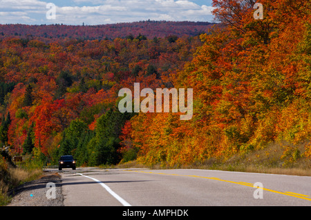 Farben des Herbstes entlang Highway 60 durch Algonquin Provincial Park, Ontario, Kanada. Stockfoto