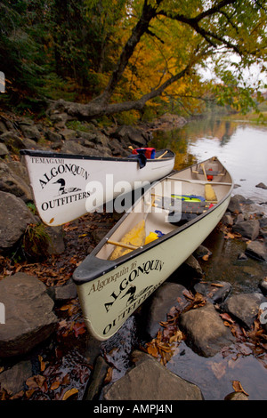 Zwei Kanus am Ufer des Flusses Habichtsbitterkraut in den Oxtongue River-Ragged Falls Provincial Park, Ontario, Kanada. Stockfoto